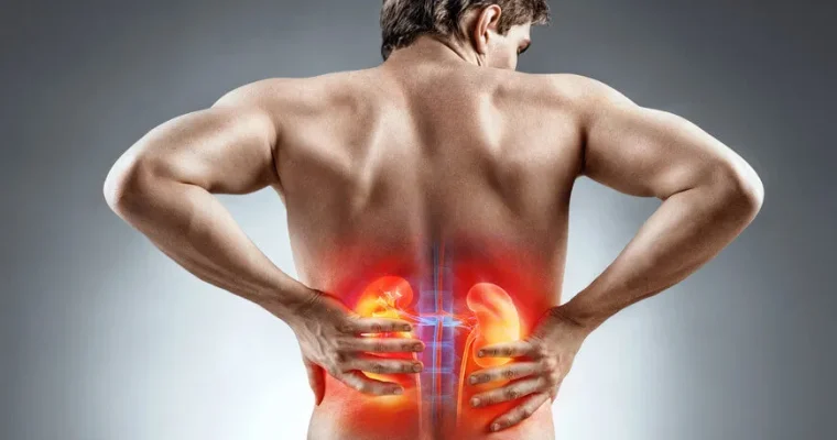 Problemas Renais: Causas, Sintomas, Tratamentos e Prevenção